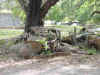 DSC00562.JPG (15596 bytes)