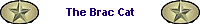 The Brac Cat